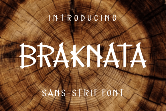 Braknata Typeface Review: A Modern Sans Serif for Digital Branding