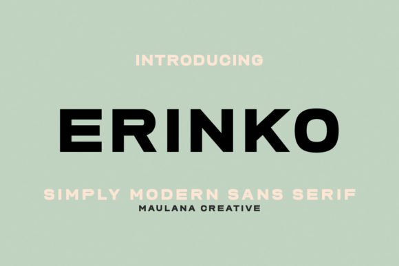 Erinko: A Modern Sans Serif Typeface for Clean Web Design