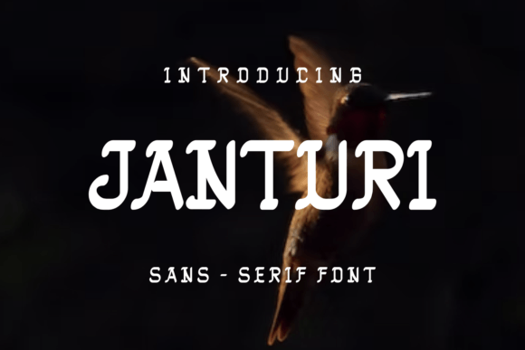 Janturi: The Modern Sans Serif Font for Small Business Branding