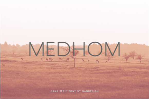 Medhom Typeface: A Practical Review for Small Business Branding