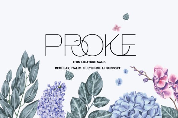 Proke: The Minimalist Sans Serif for Clean Editorial Design