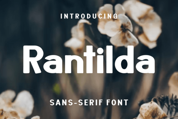 Rantilda Typeface: A Modern Sans Serif for Handmade Branding