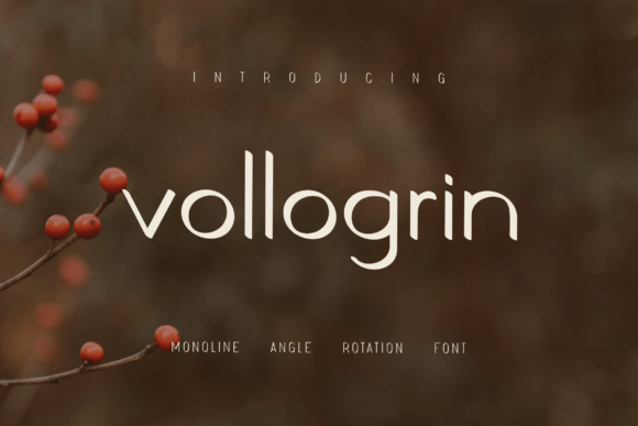 Vollogrin: The Italic Sans Serif Typeface for Scroll-Stopping Marketing