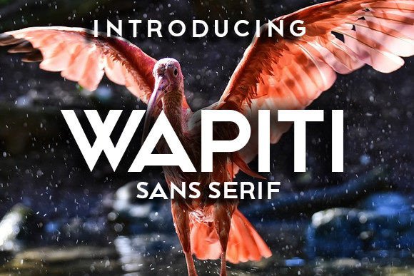 Wapiti: A Bold Sans Serif Typeface for Handmade Branding